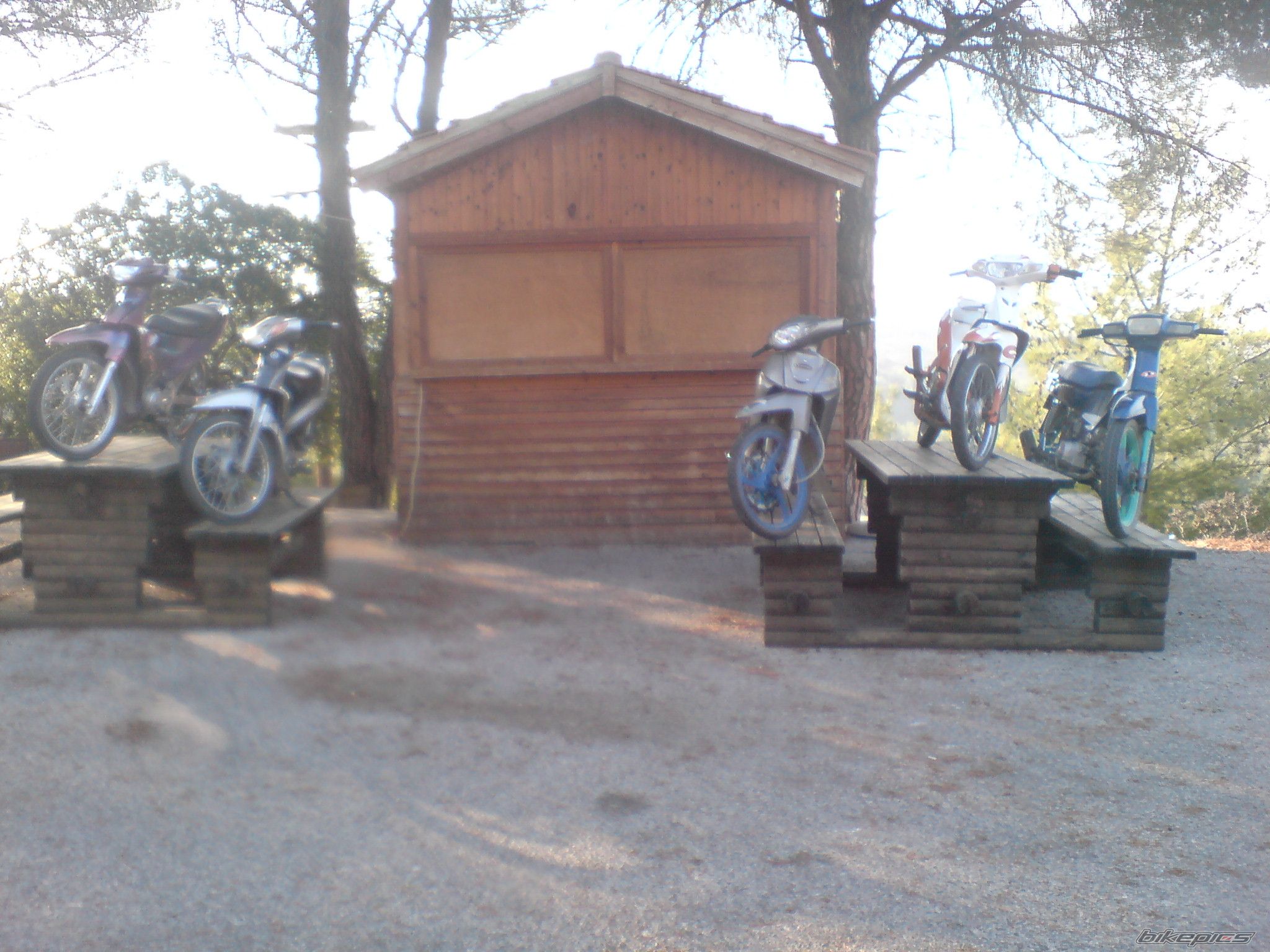 Bike Photo 1479983