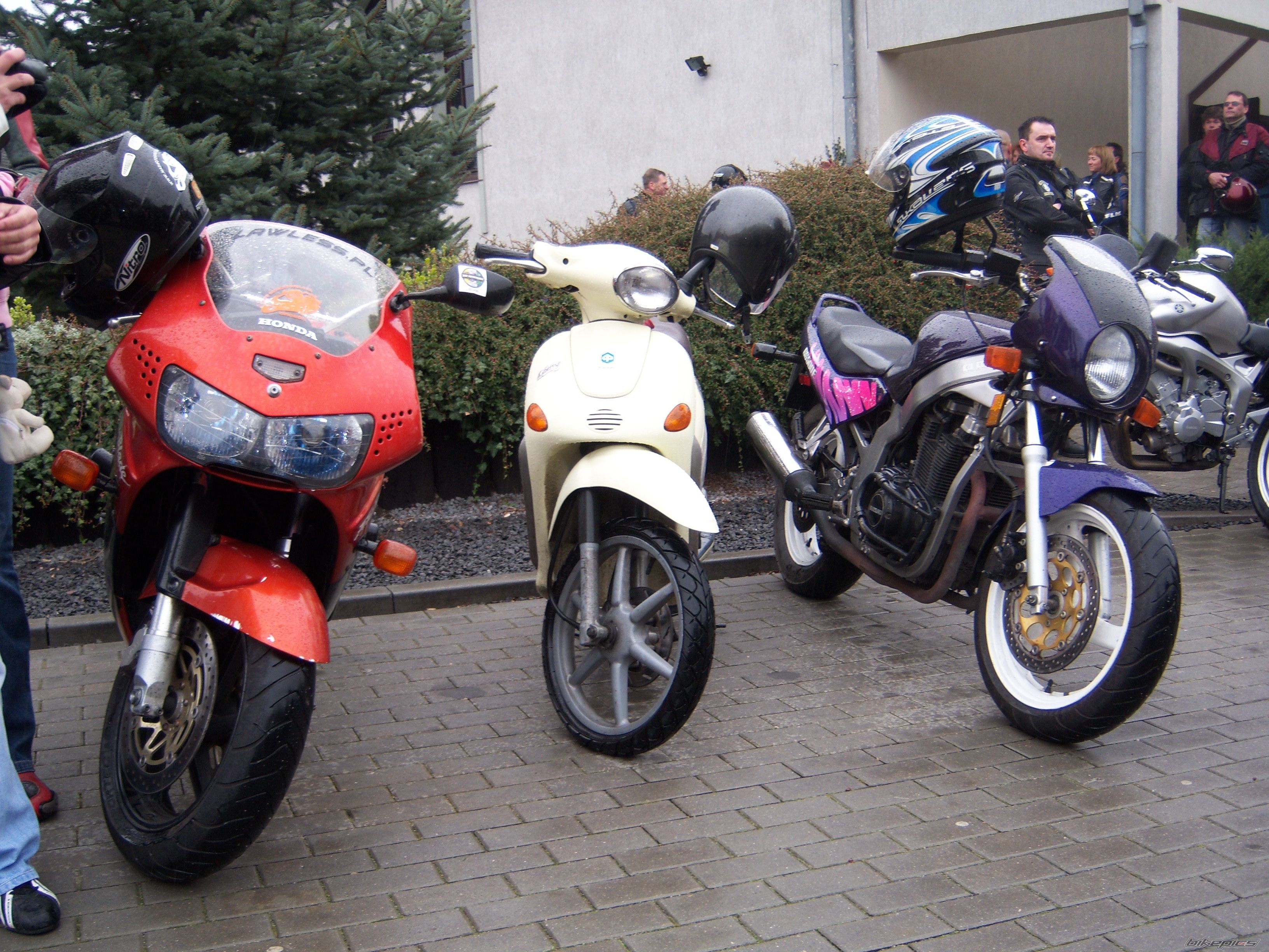 Photo 1480137