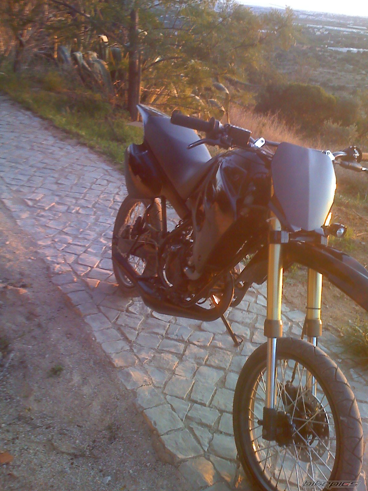 Photo 1480140