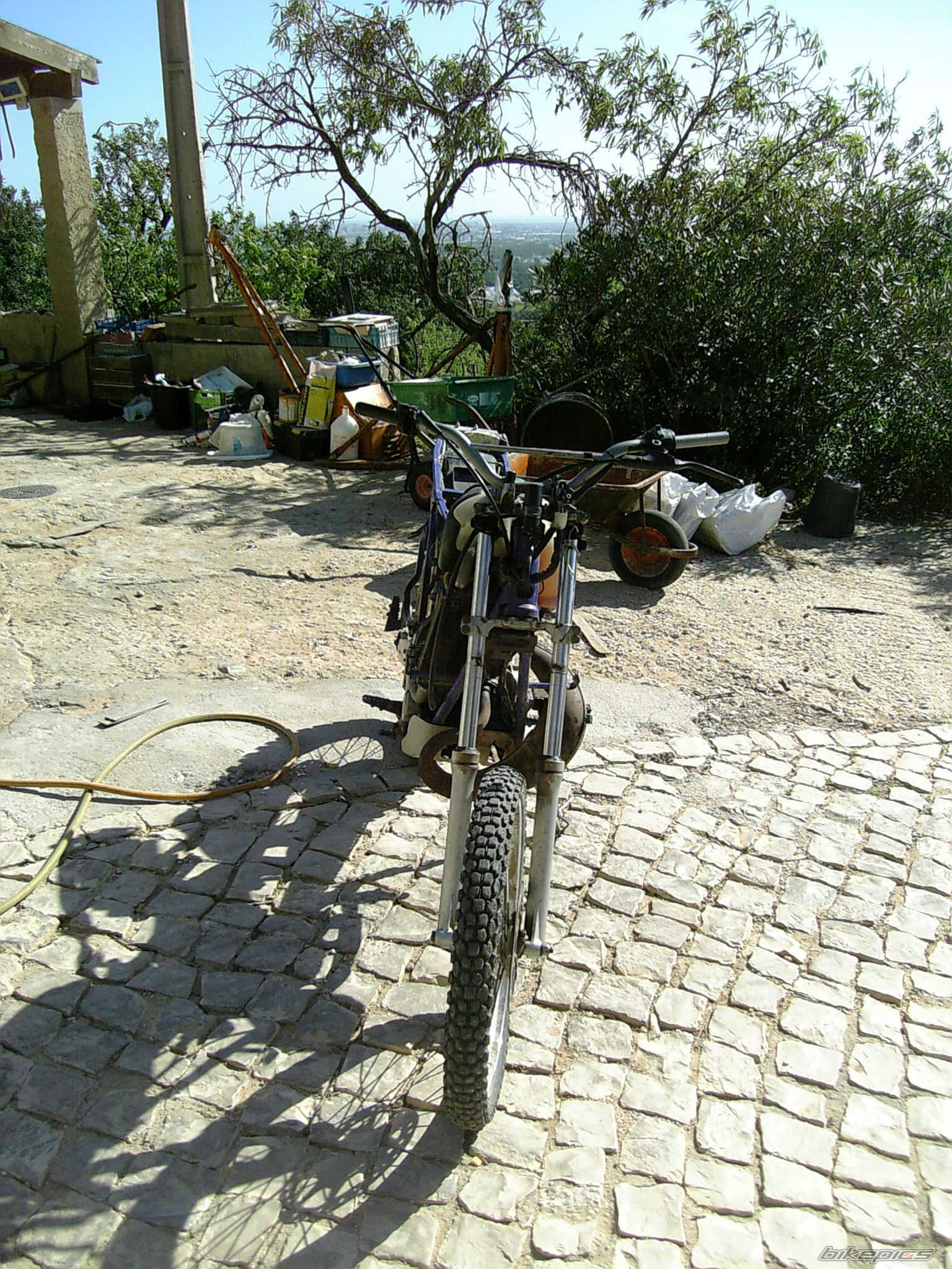 Photo 1480146