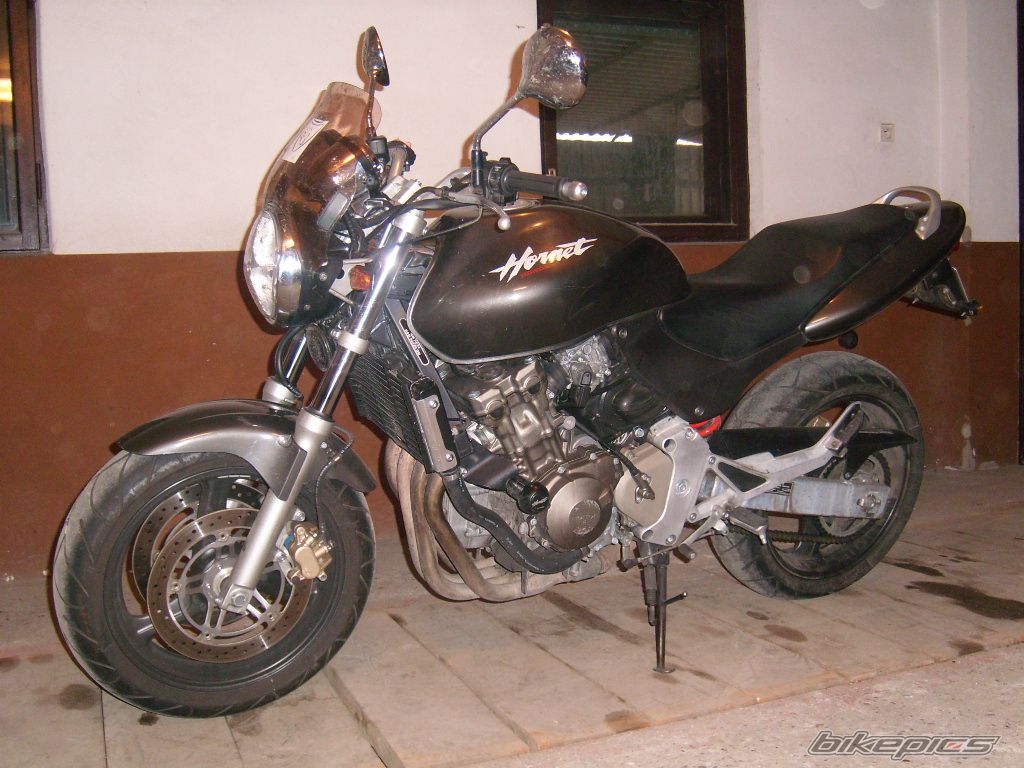 Photo 1480202