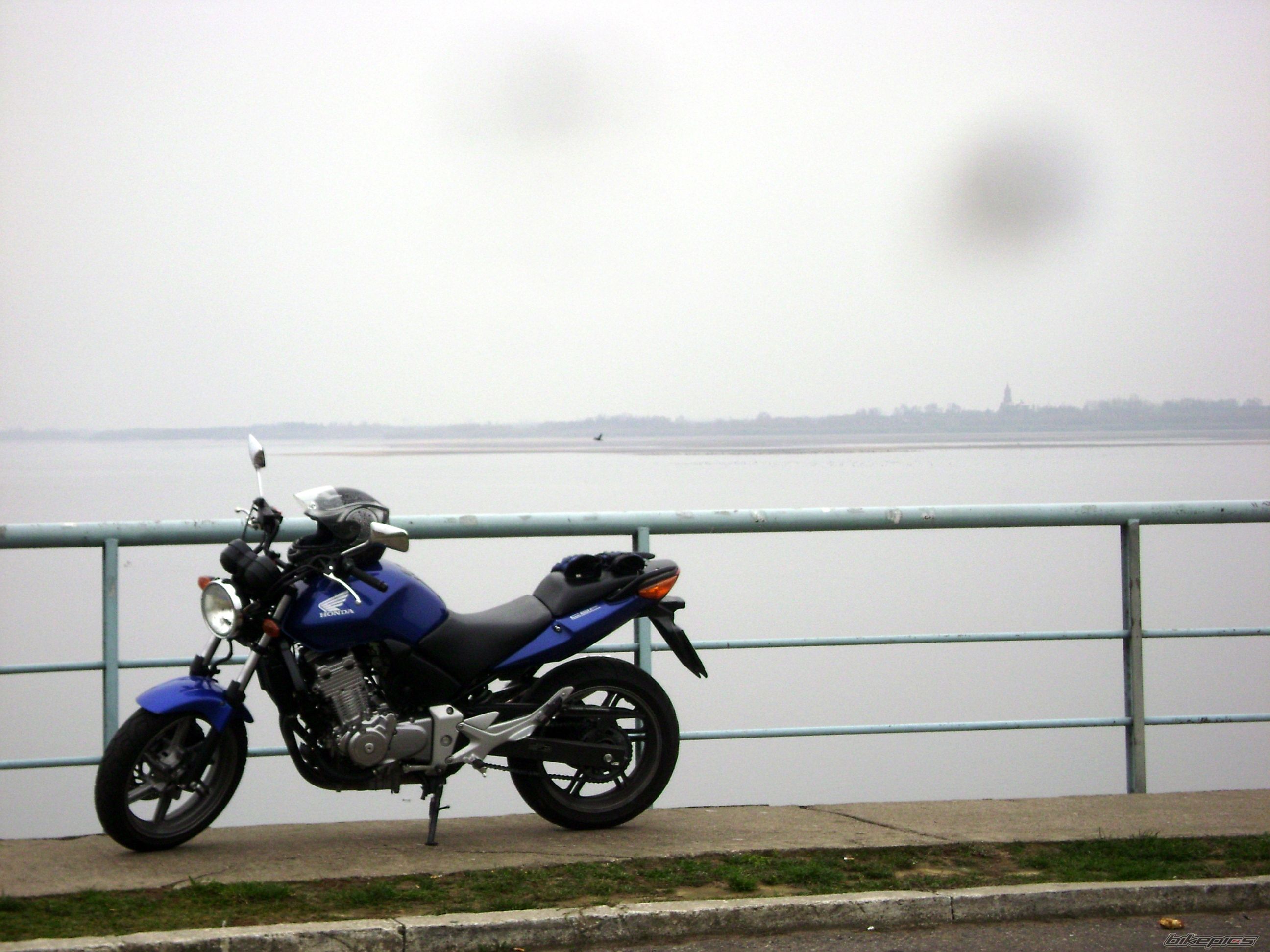 Photo 1480259