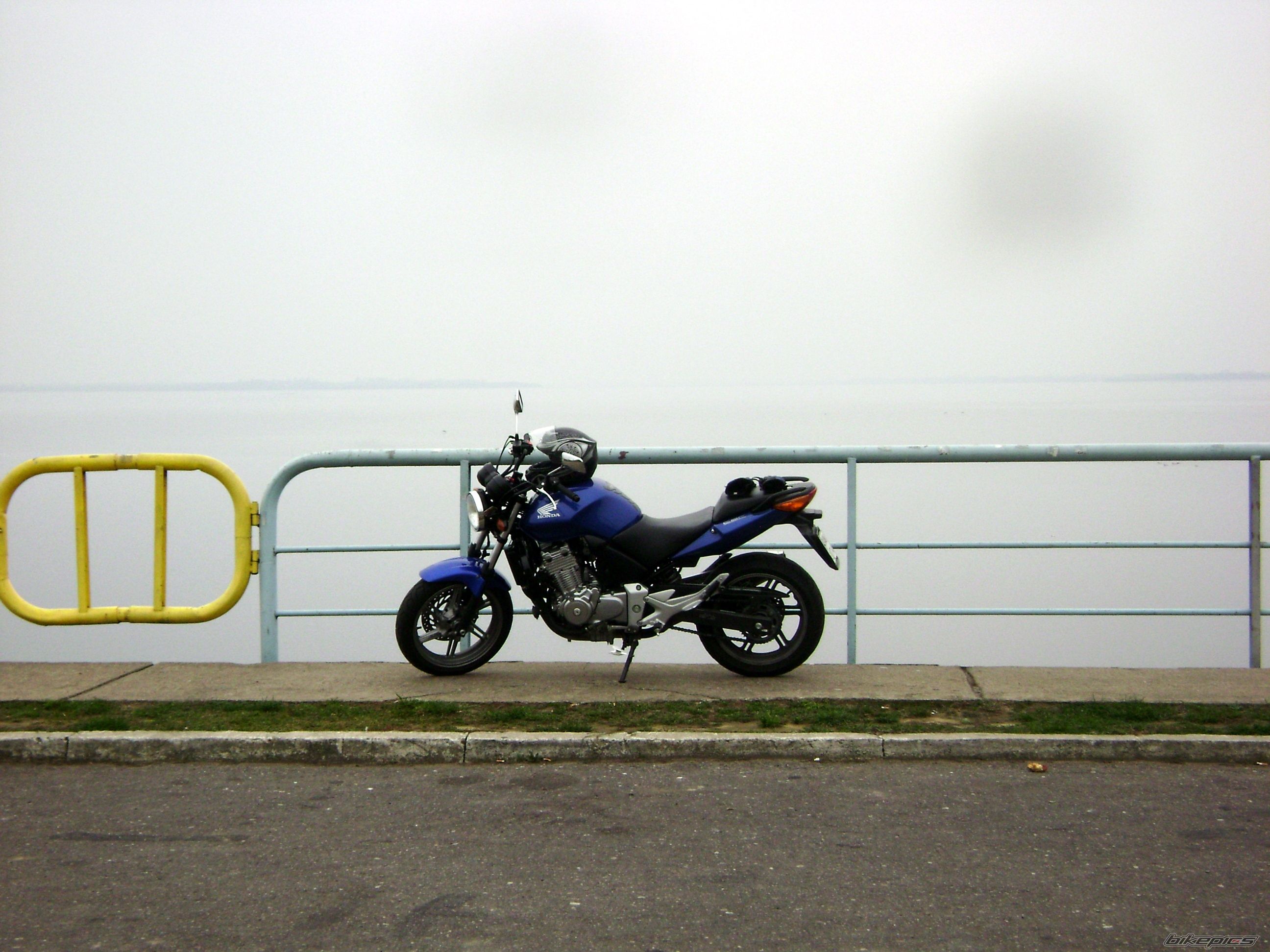 Photo 1480265