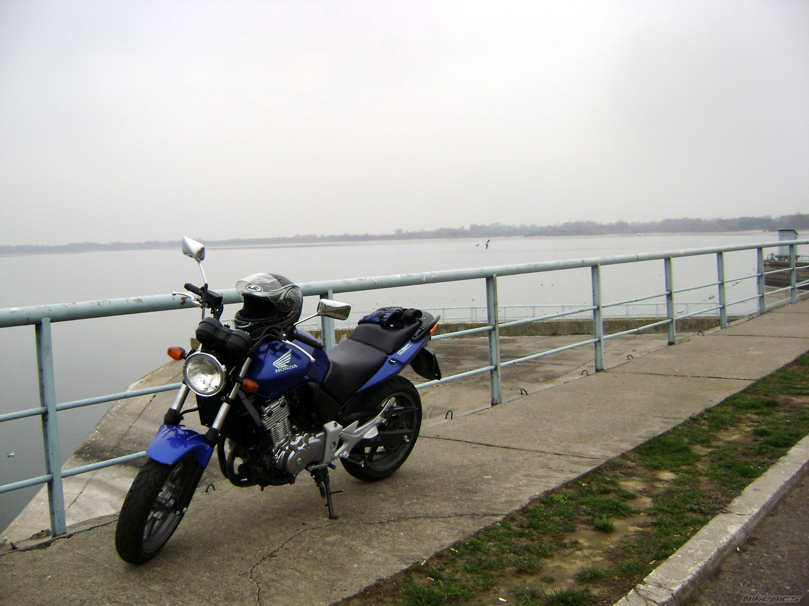 Photo 1480268