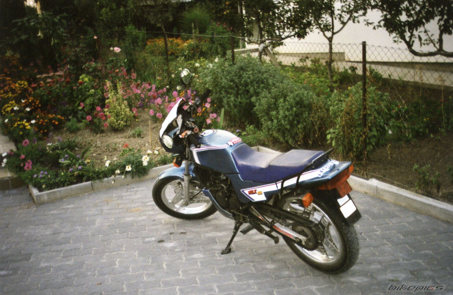 Photo 1480291
