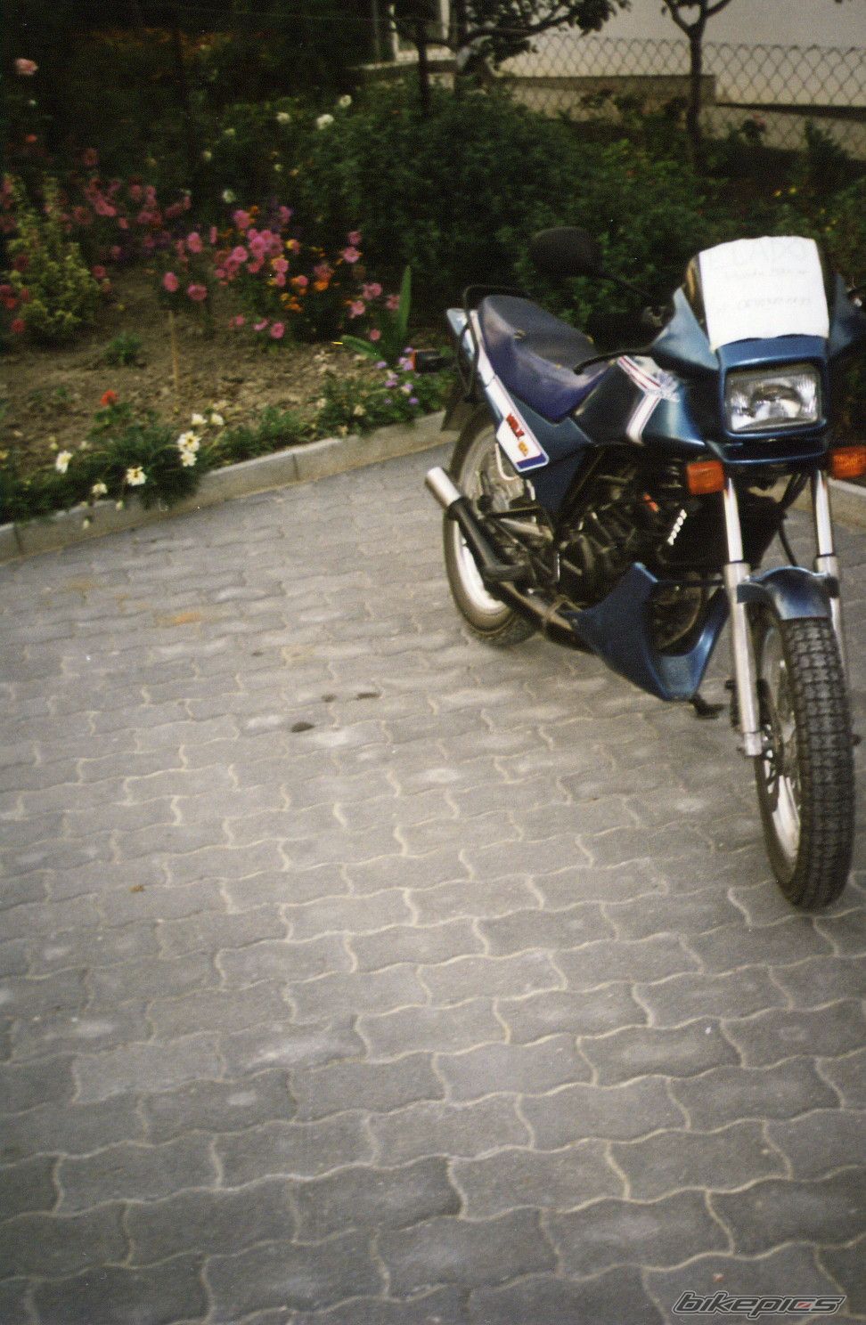 Photo 1480295