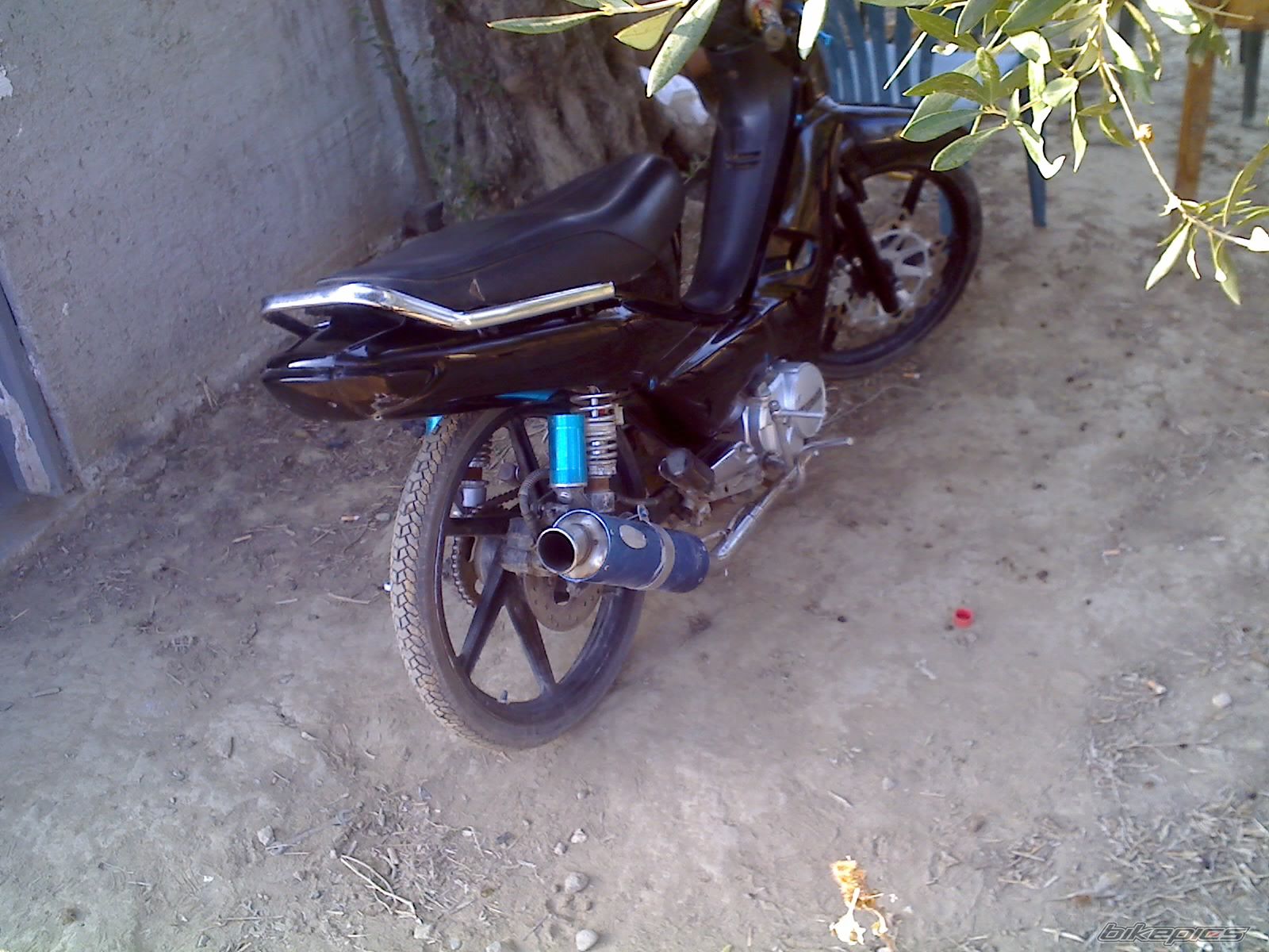 Photo 1480368