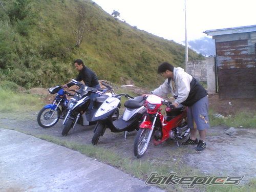 Photo 1480381
