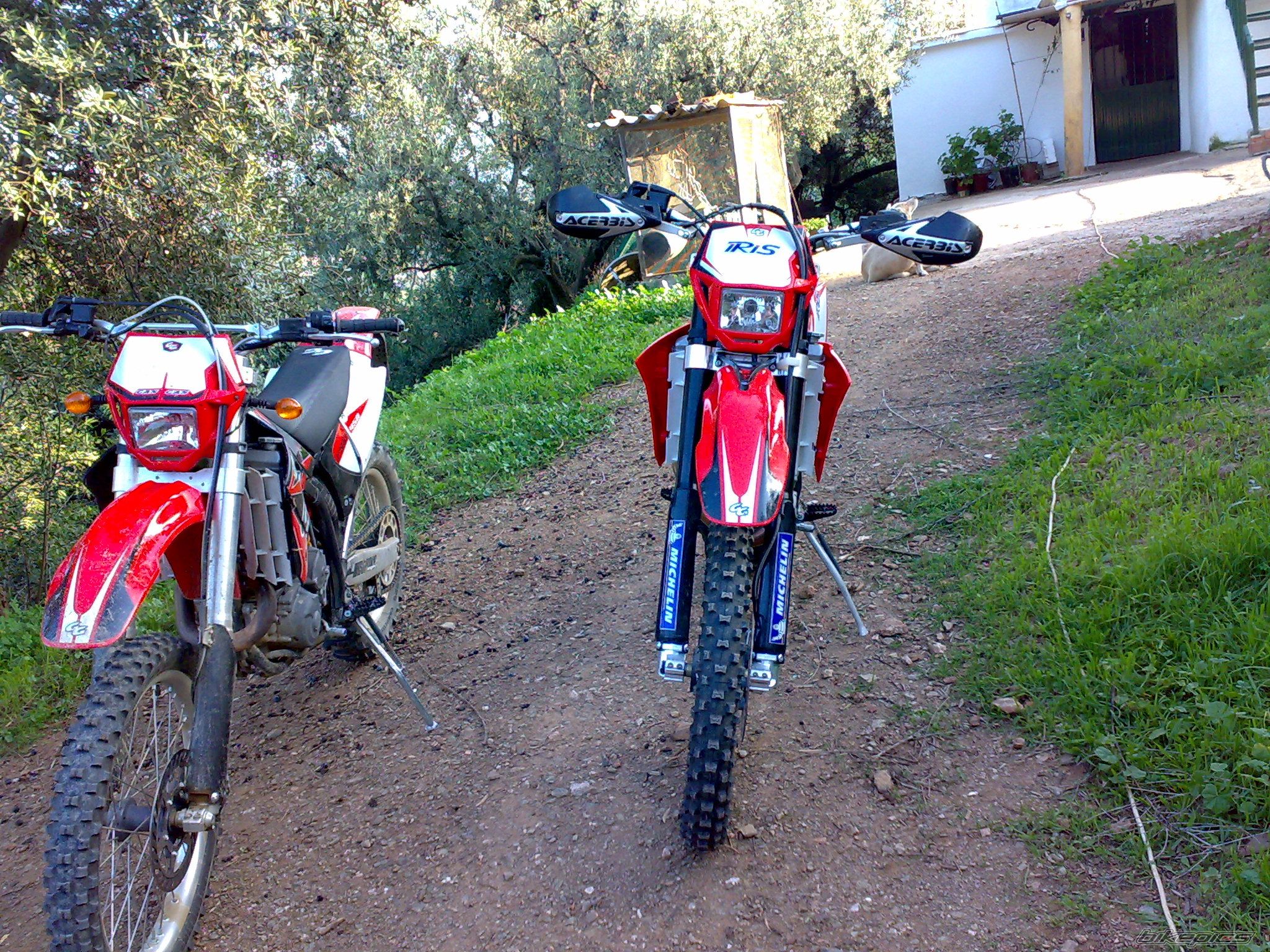 Photo 1480411
