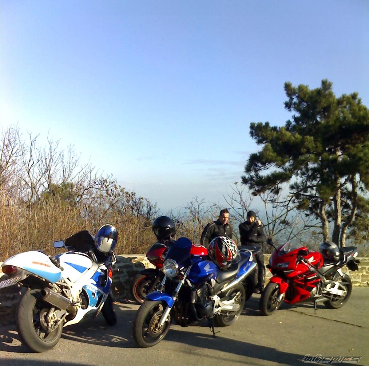 Photo 1480413