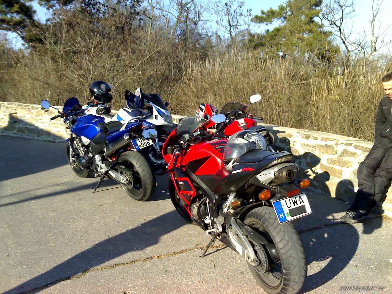 Photo 1480415