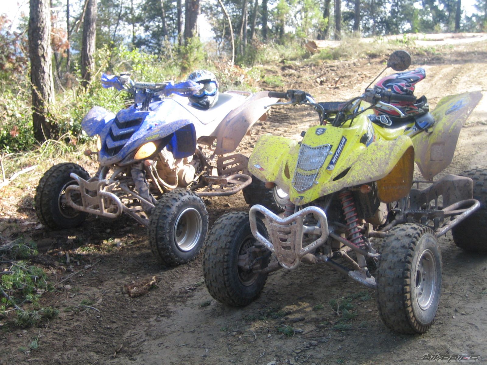 Photo 1480423