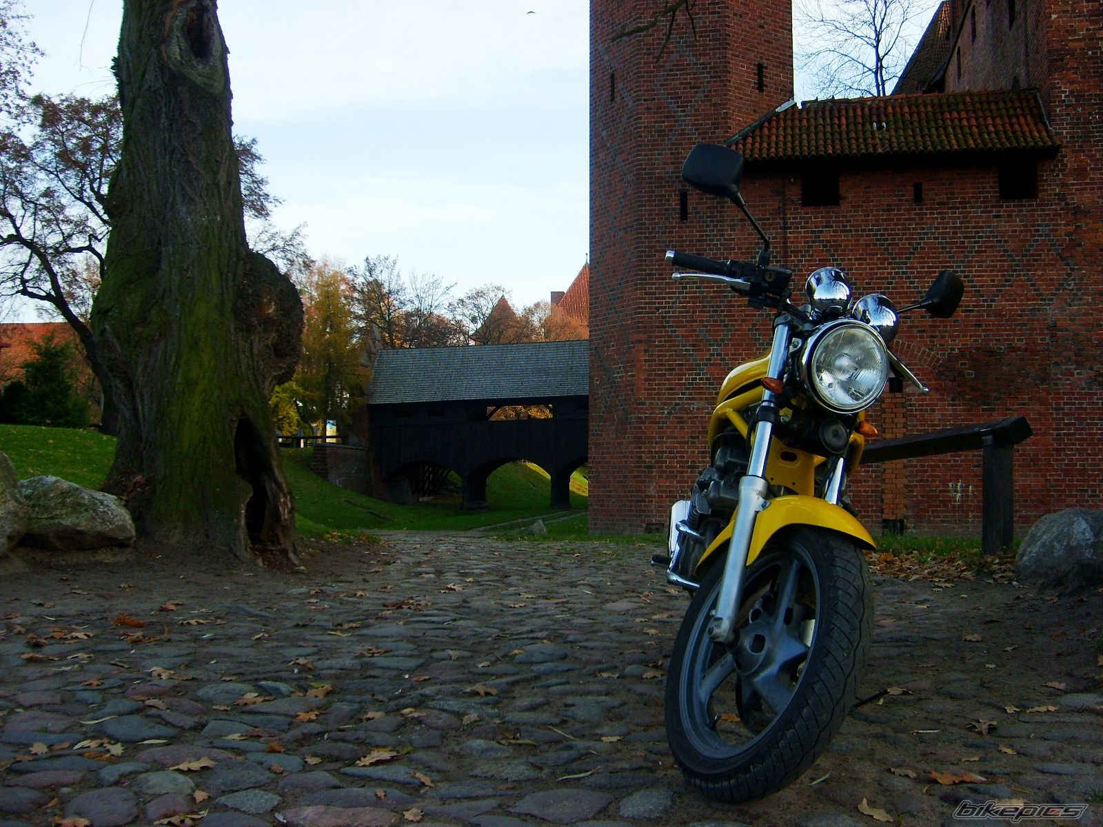 Bike Photo 1480470
