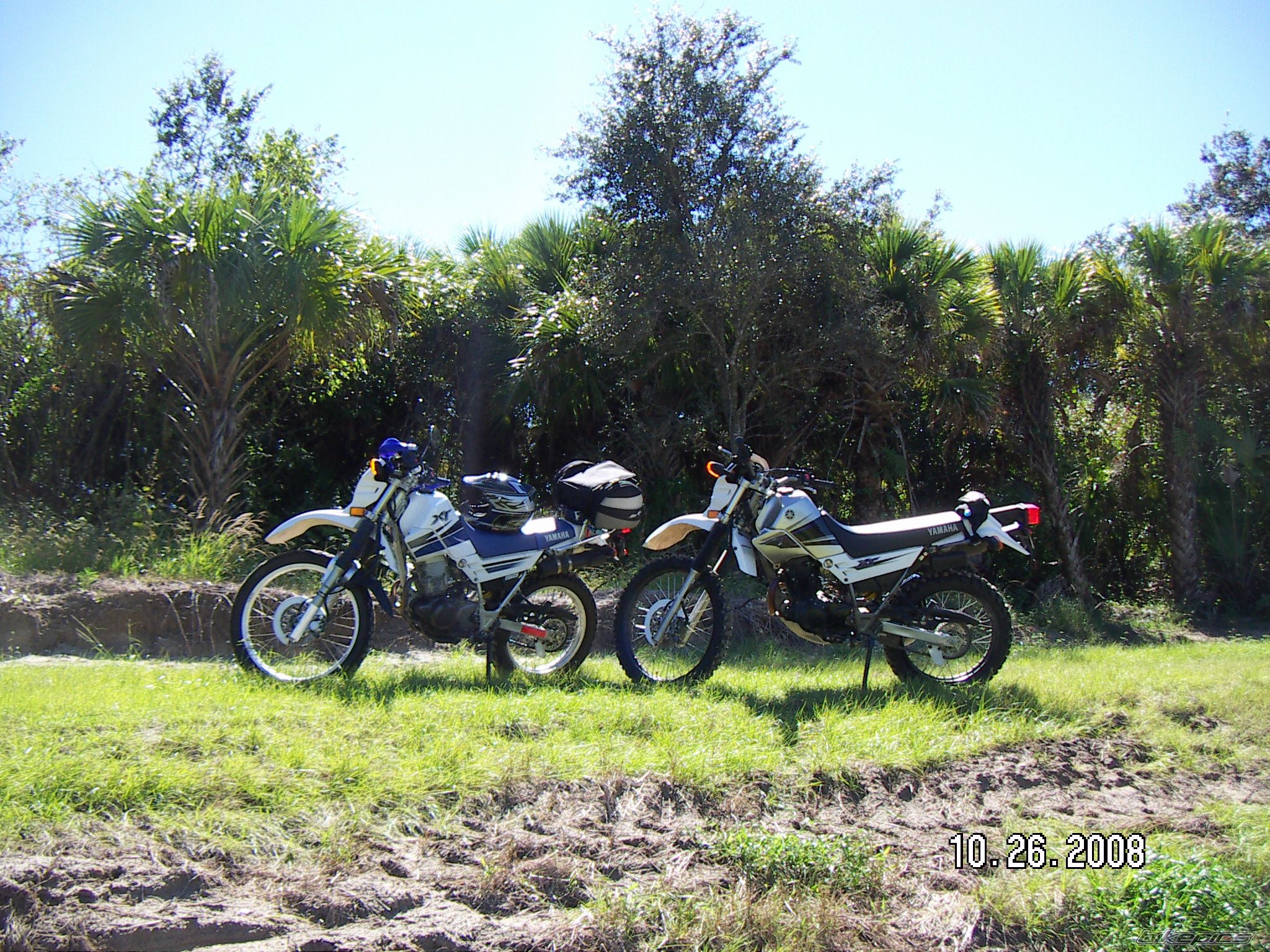 Photo 1480539