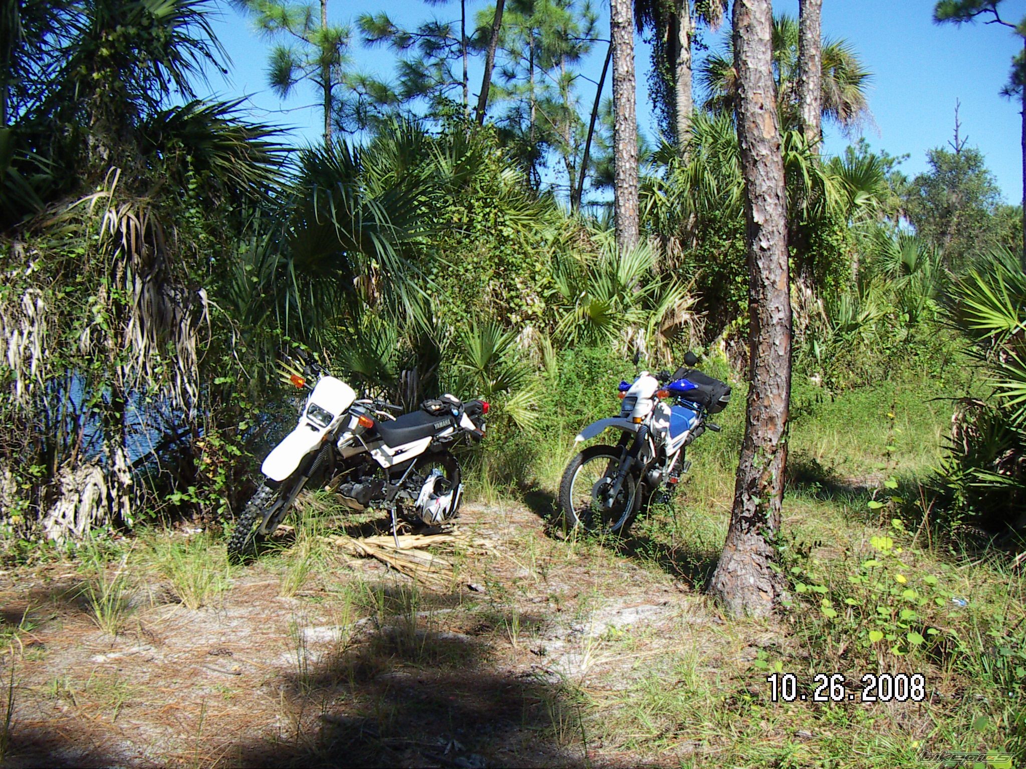 Photo 1480550