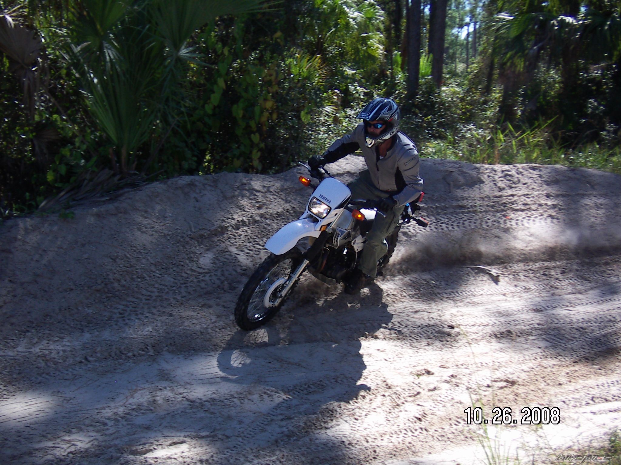 Photo 1480555