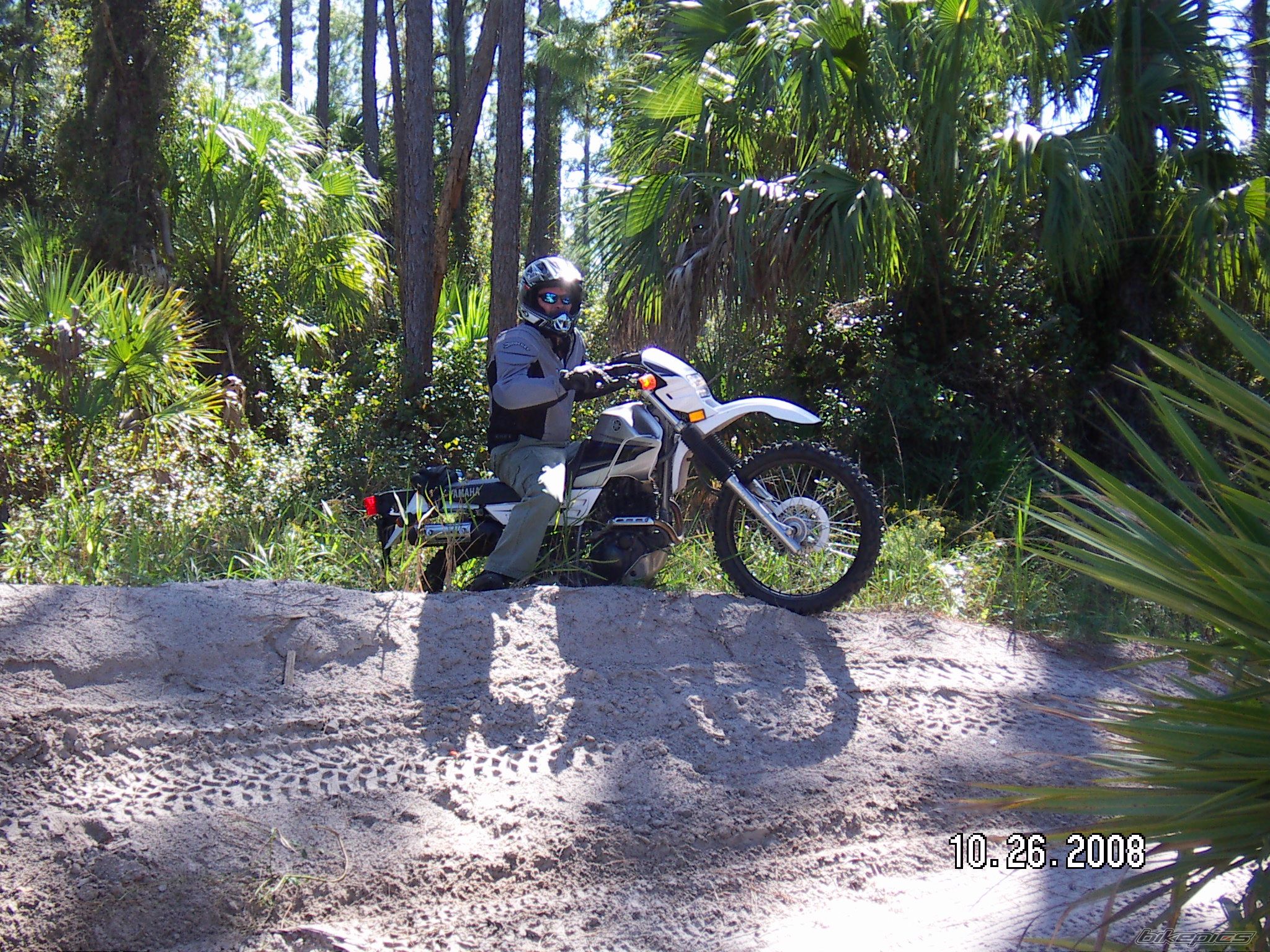 Photo 1480556