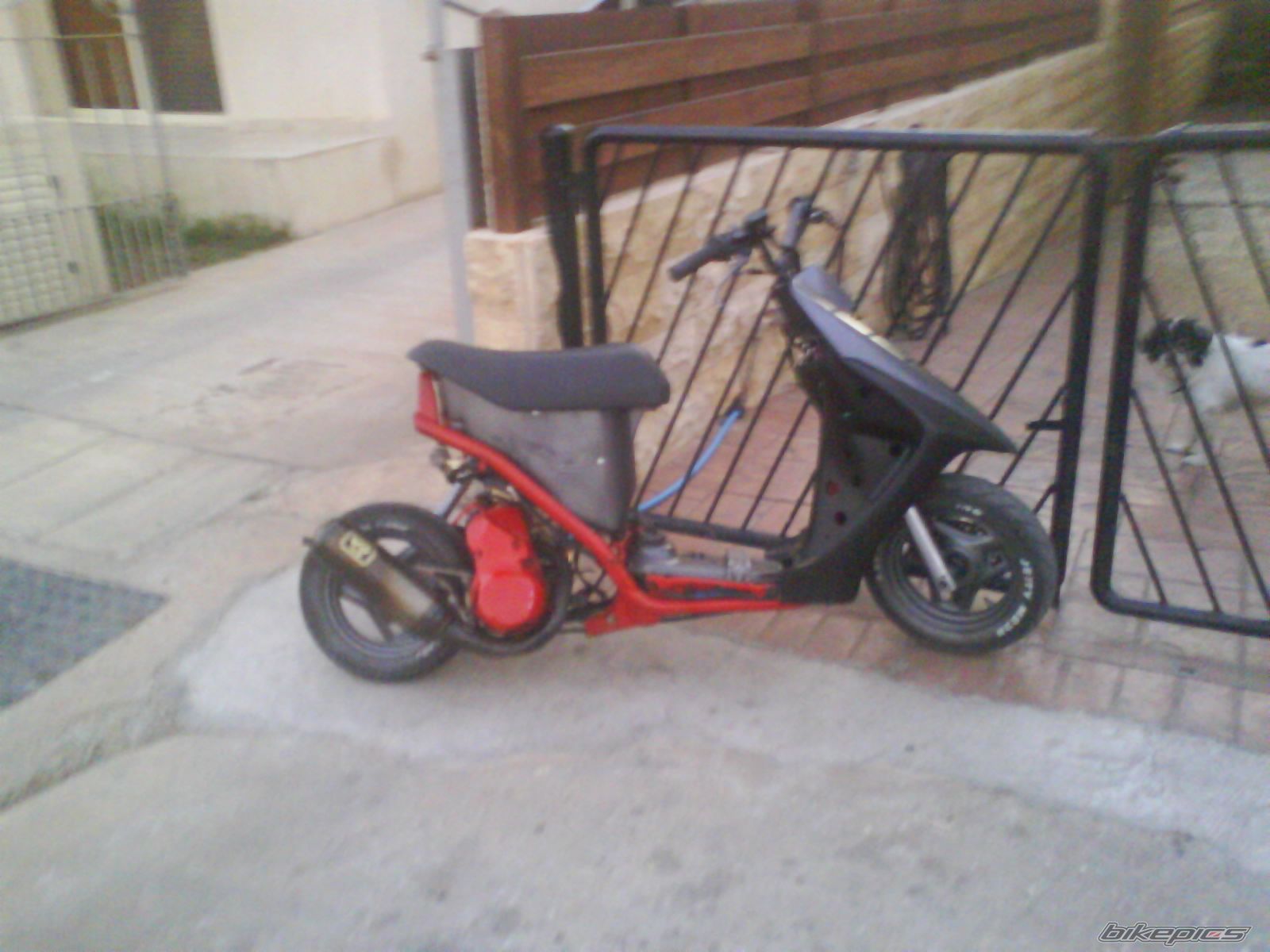 Photo 1480782