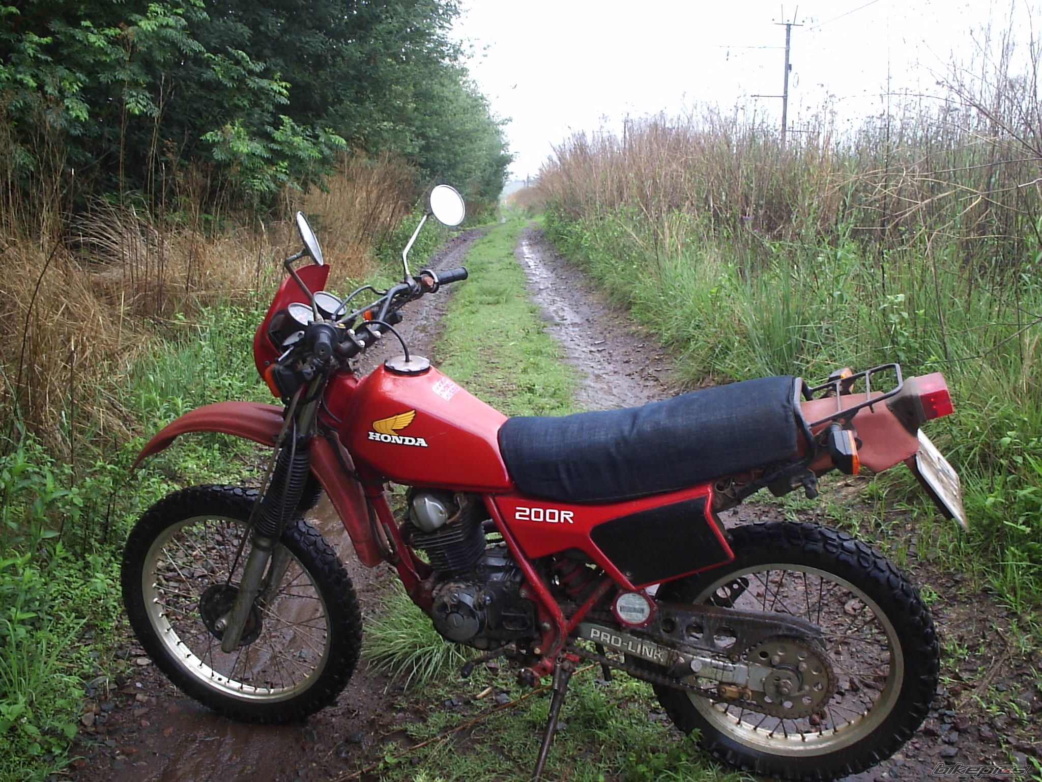Photo 1480895