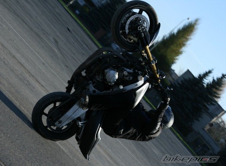 Photo 1480959