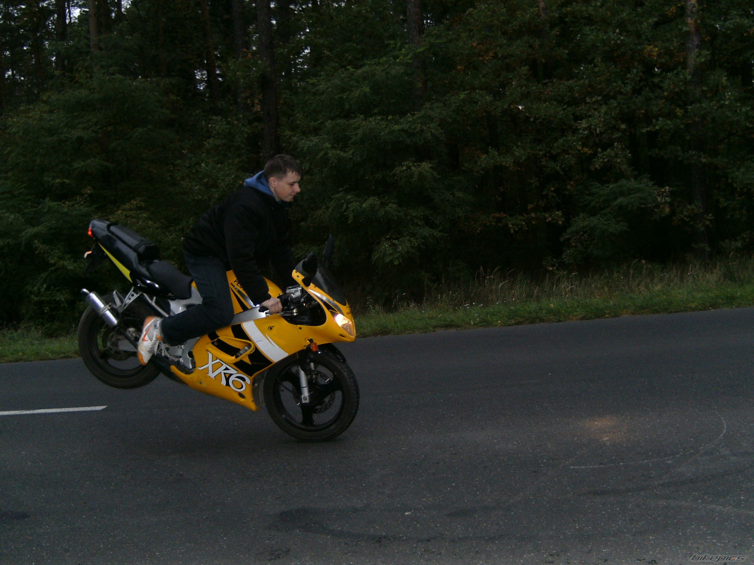 Photo 1480964