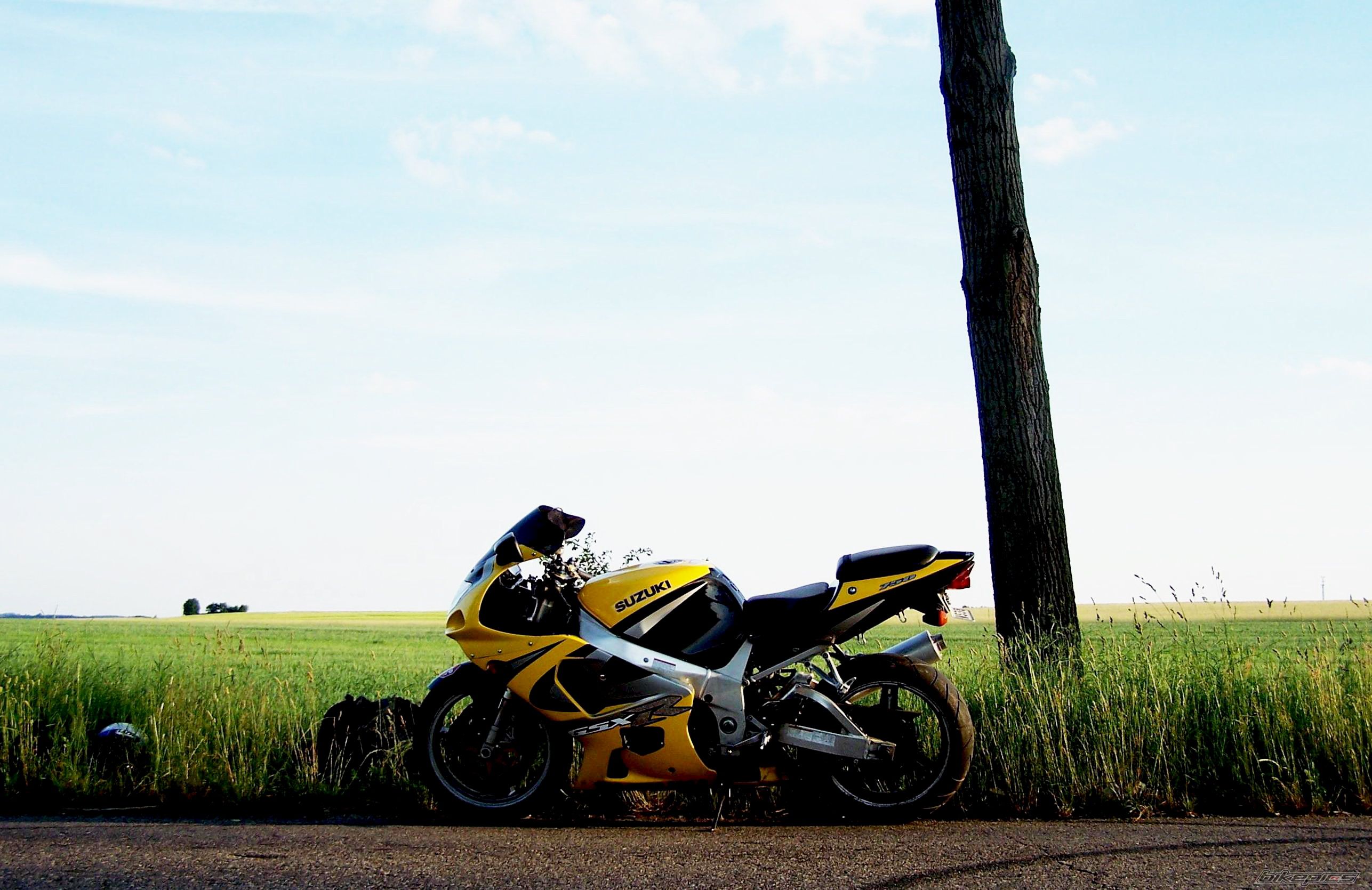 Bike Photo 1480974