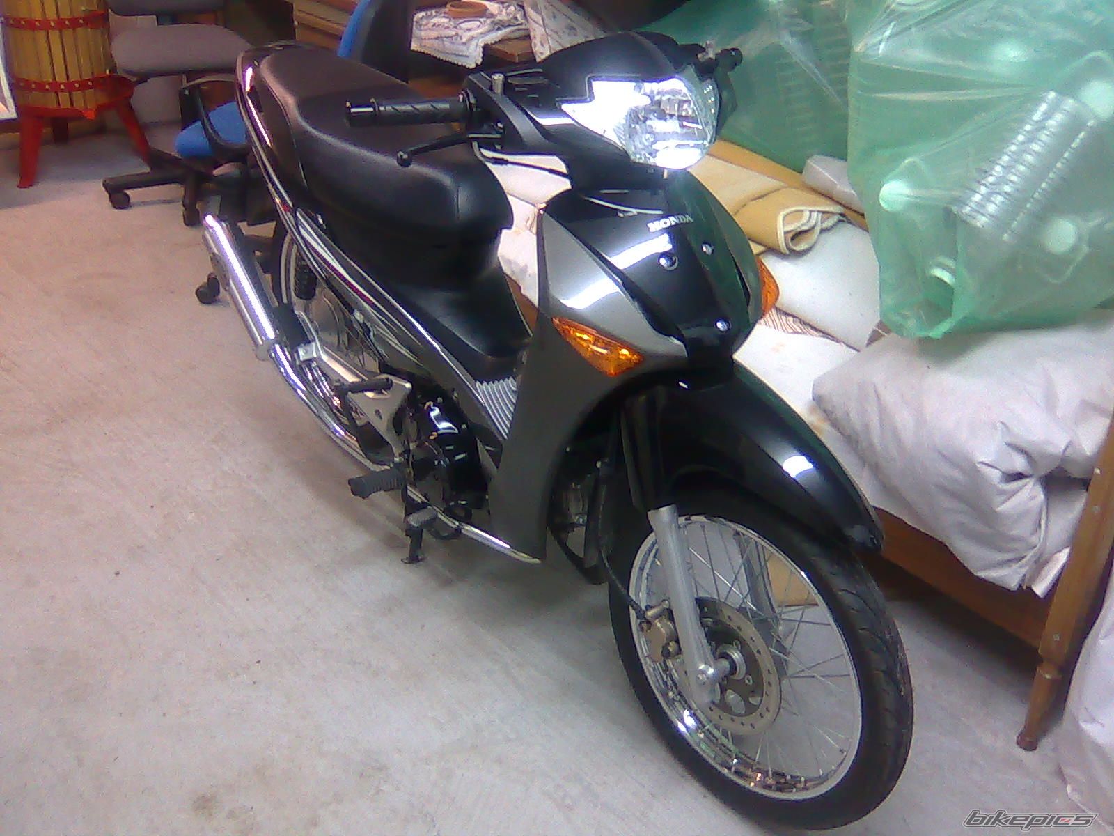 Photo 1481028