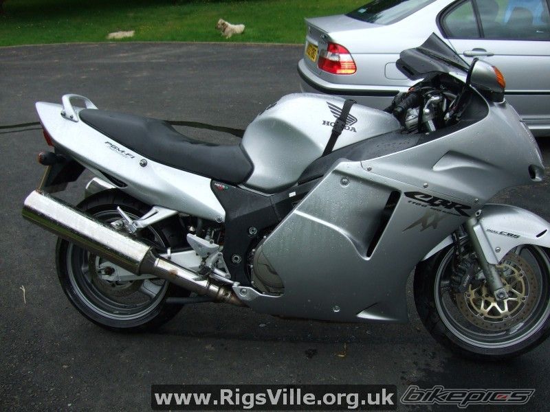 Photo 1481039