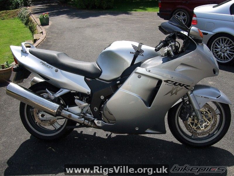 Photo 1481040