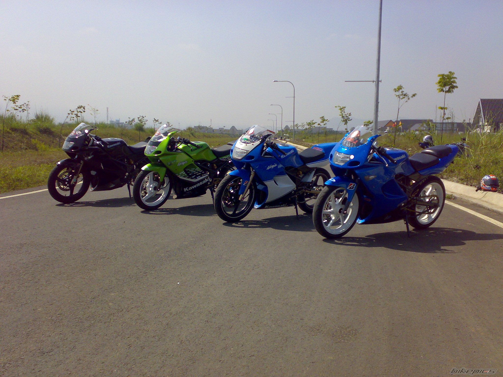 Photo 1481041