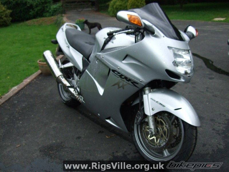 Photo 1481049