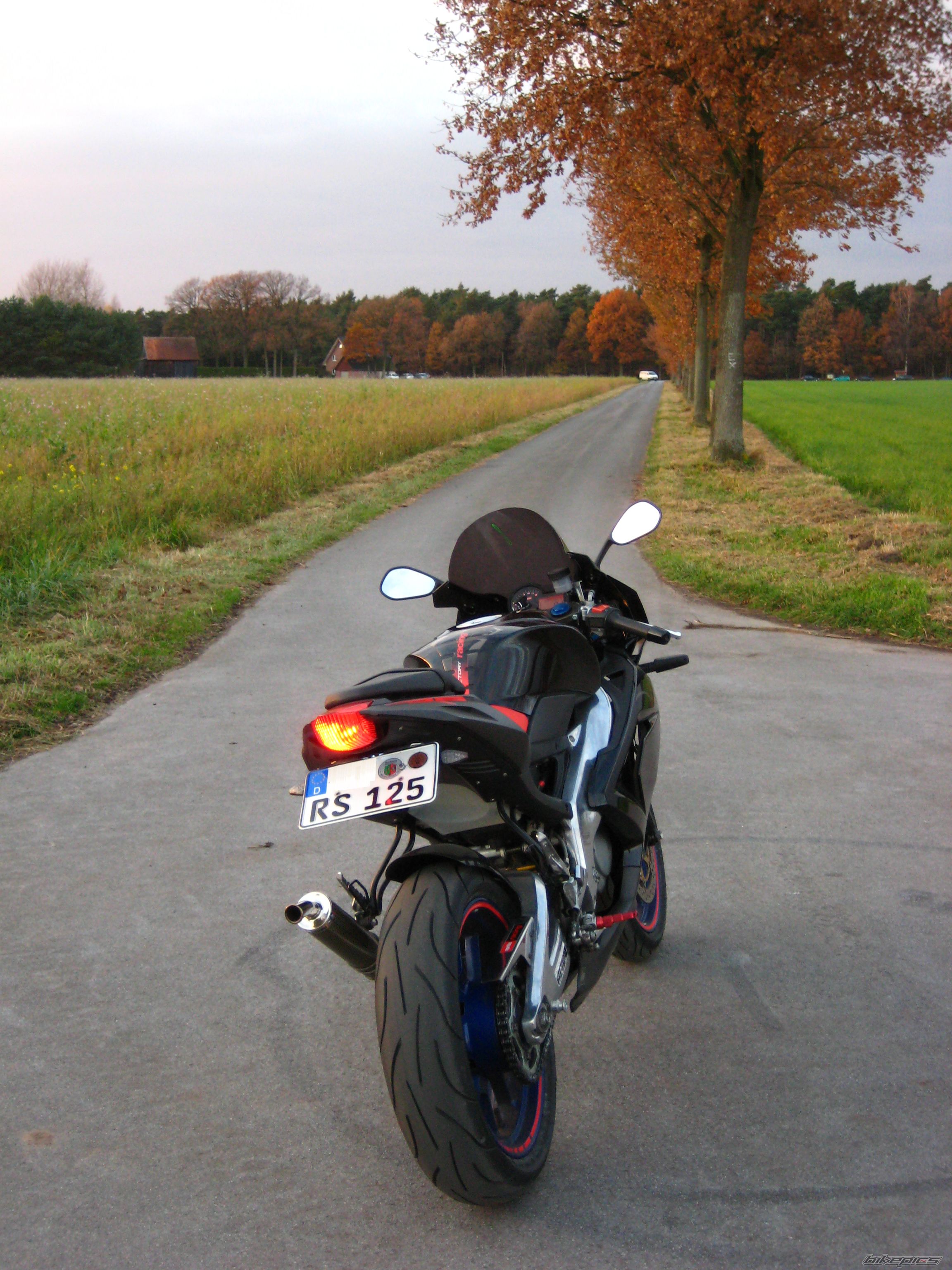 Photo 1481065
