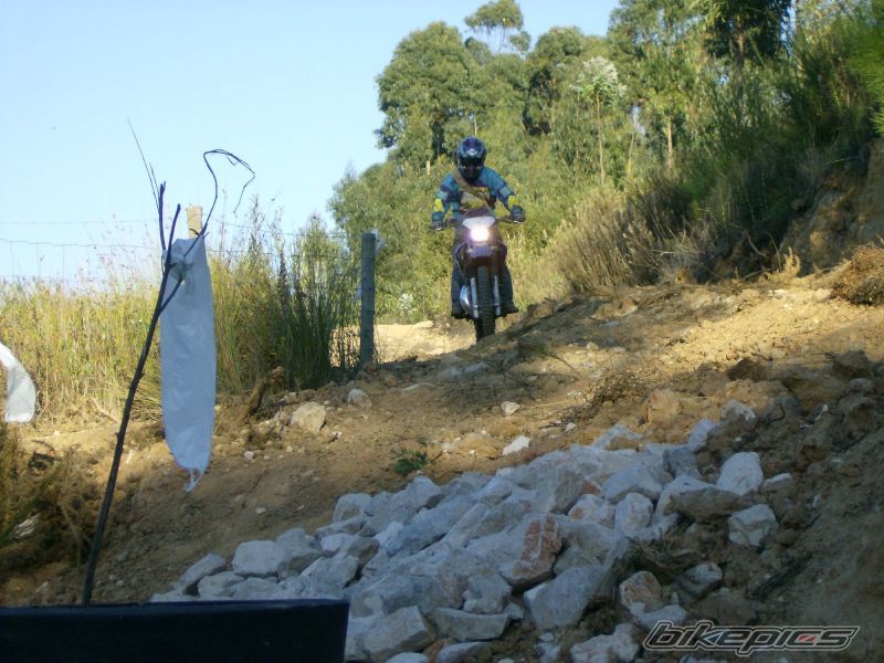 Photo 1481125