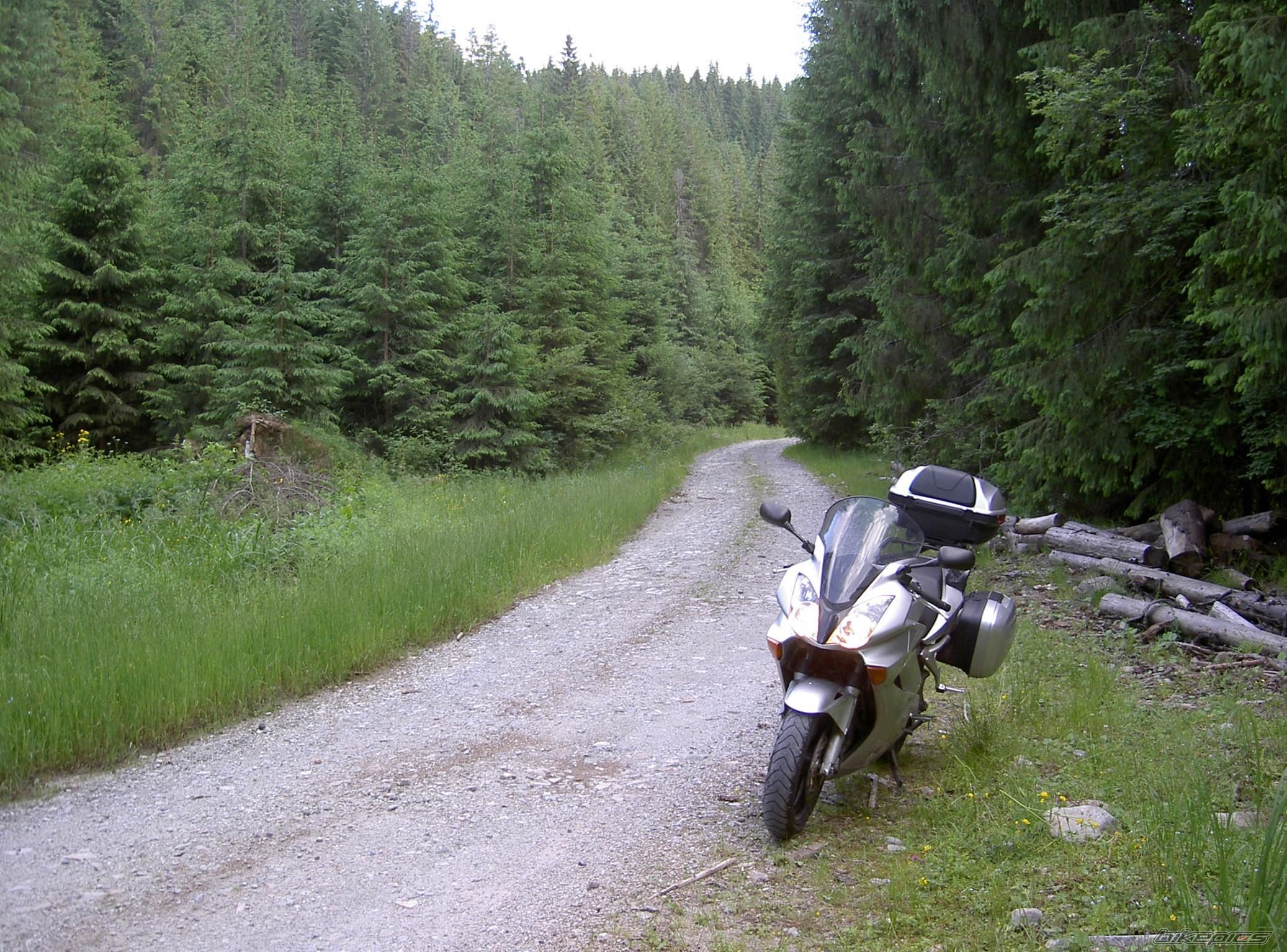 Photo 1481139