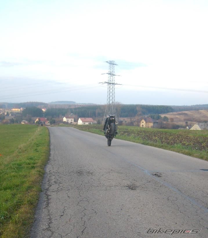 Photo 1481196