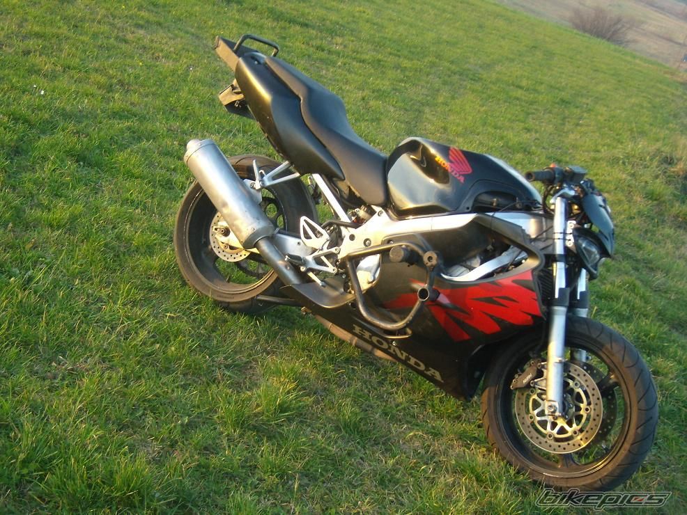 Photo 1481197