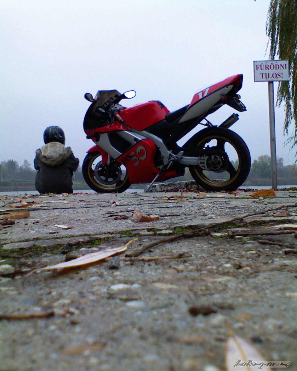 Photo 1481215