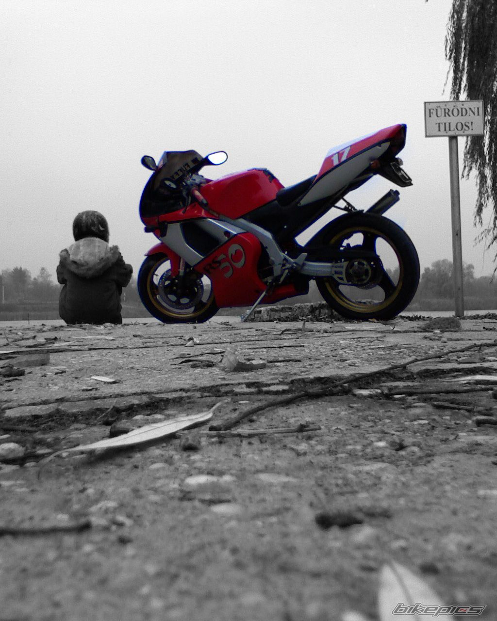 Photo 1481224