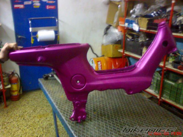 Photo 1481228