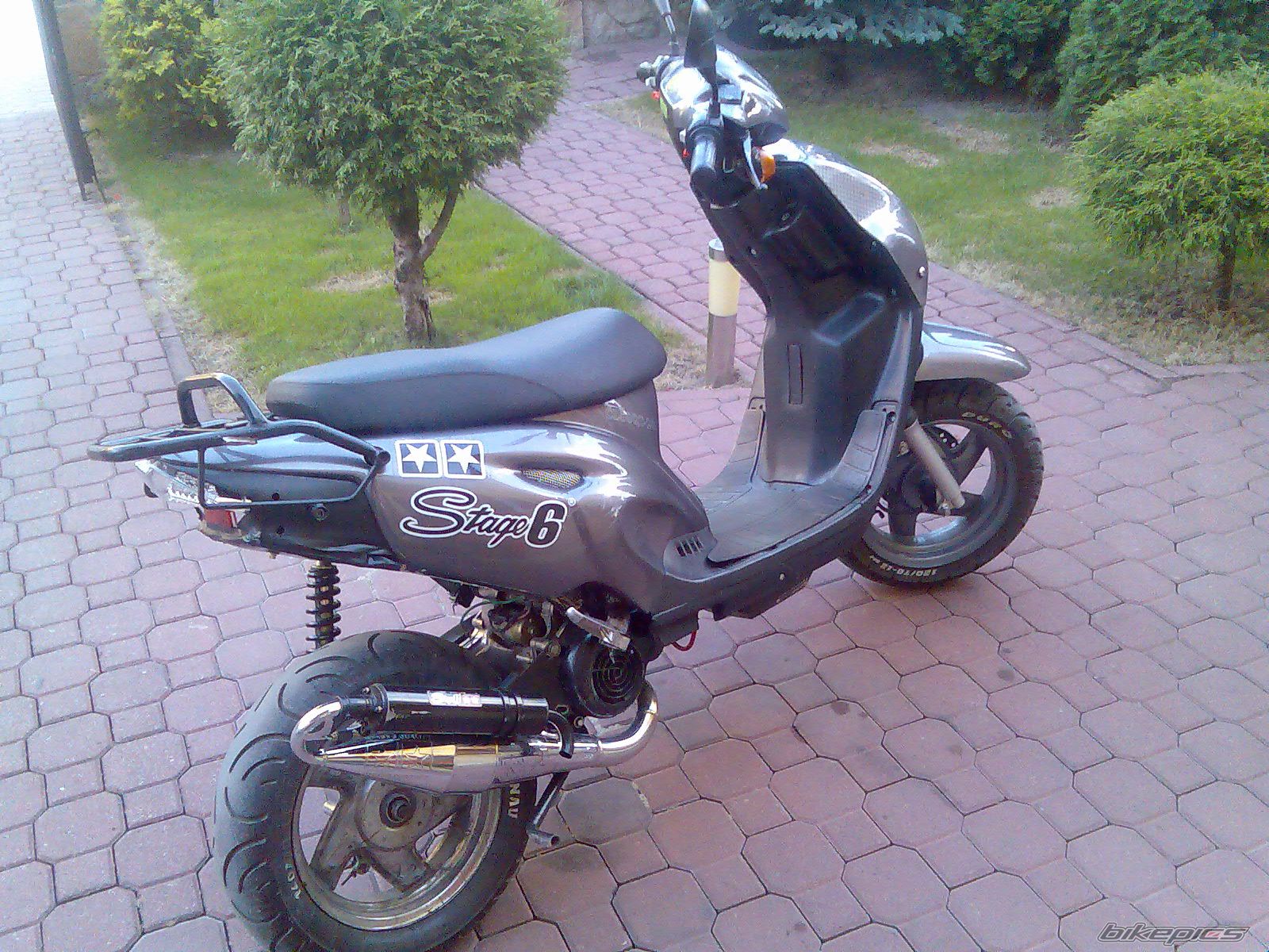 Photo 1481334