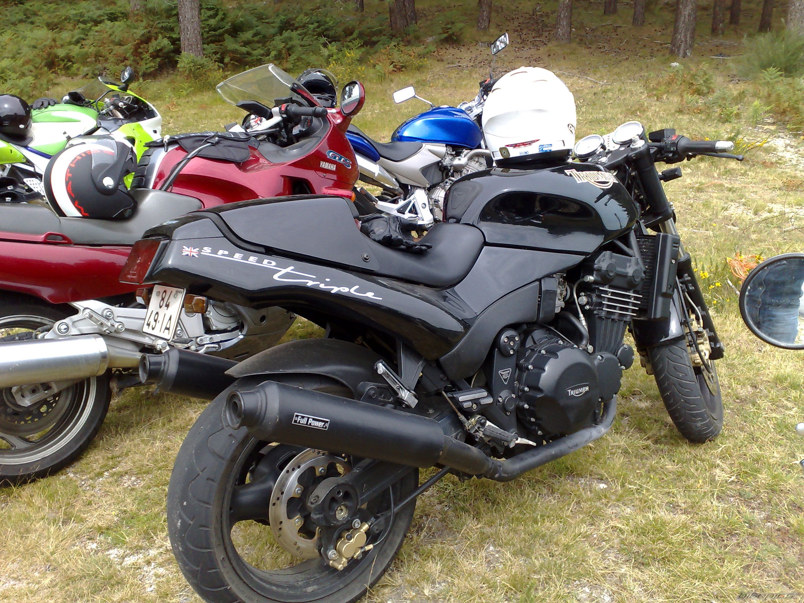 Photo 1481353