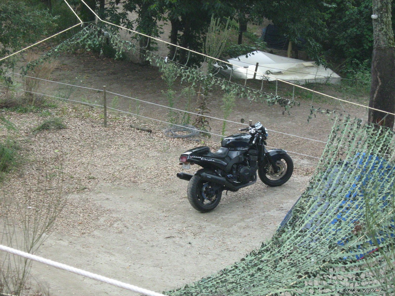 Photo 1481369