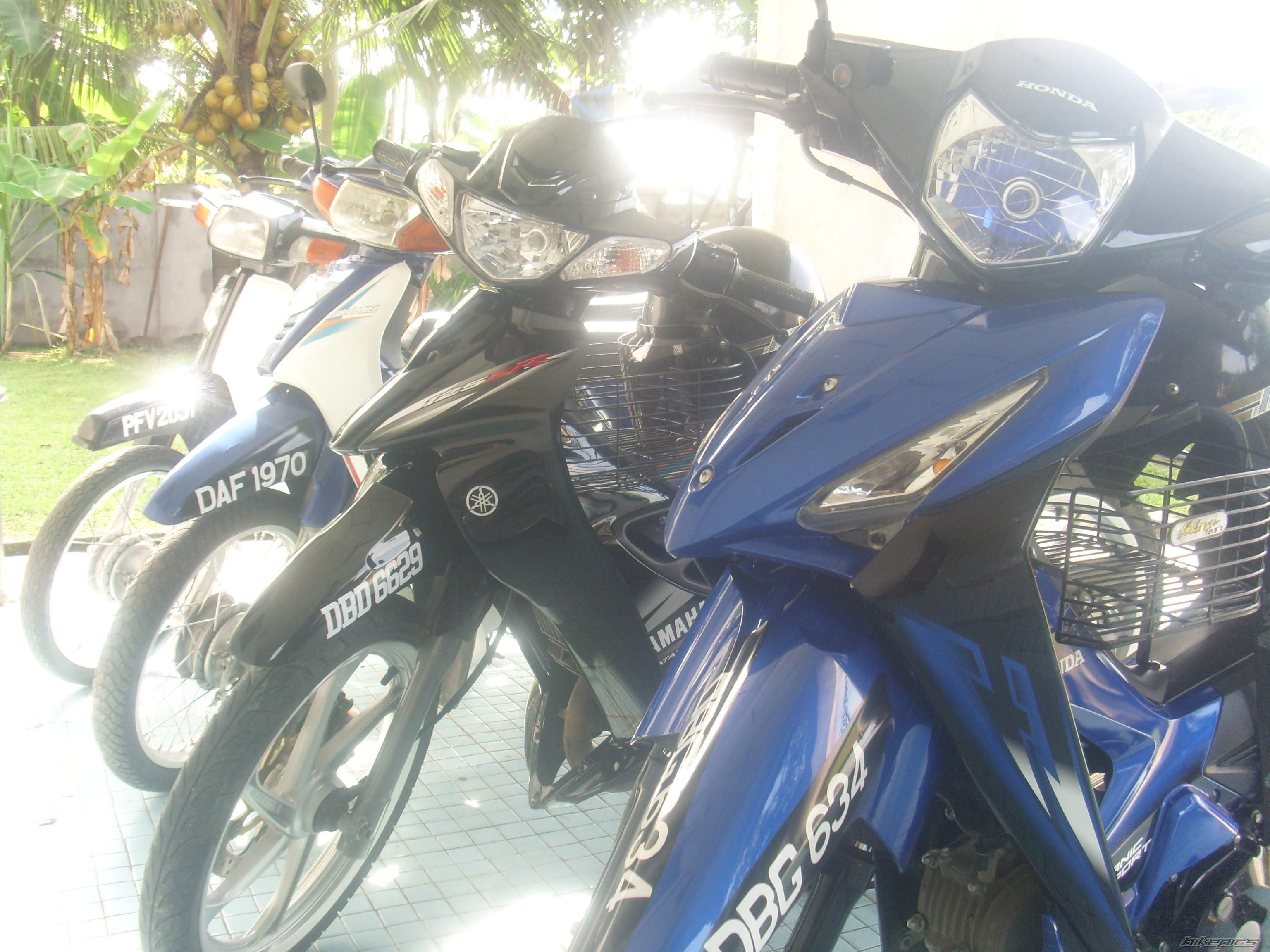 Photo 1481377