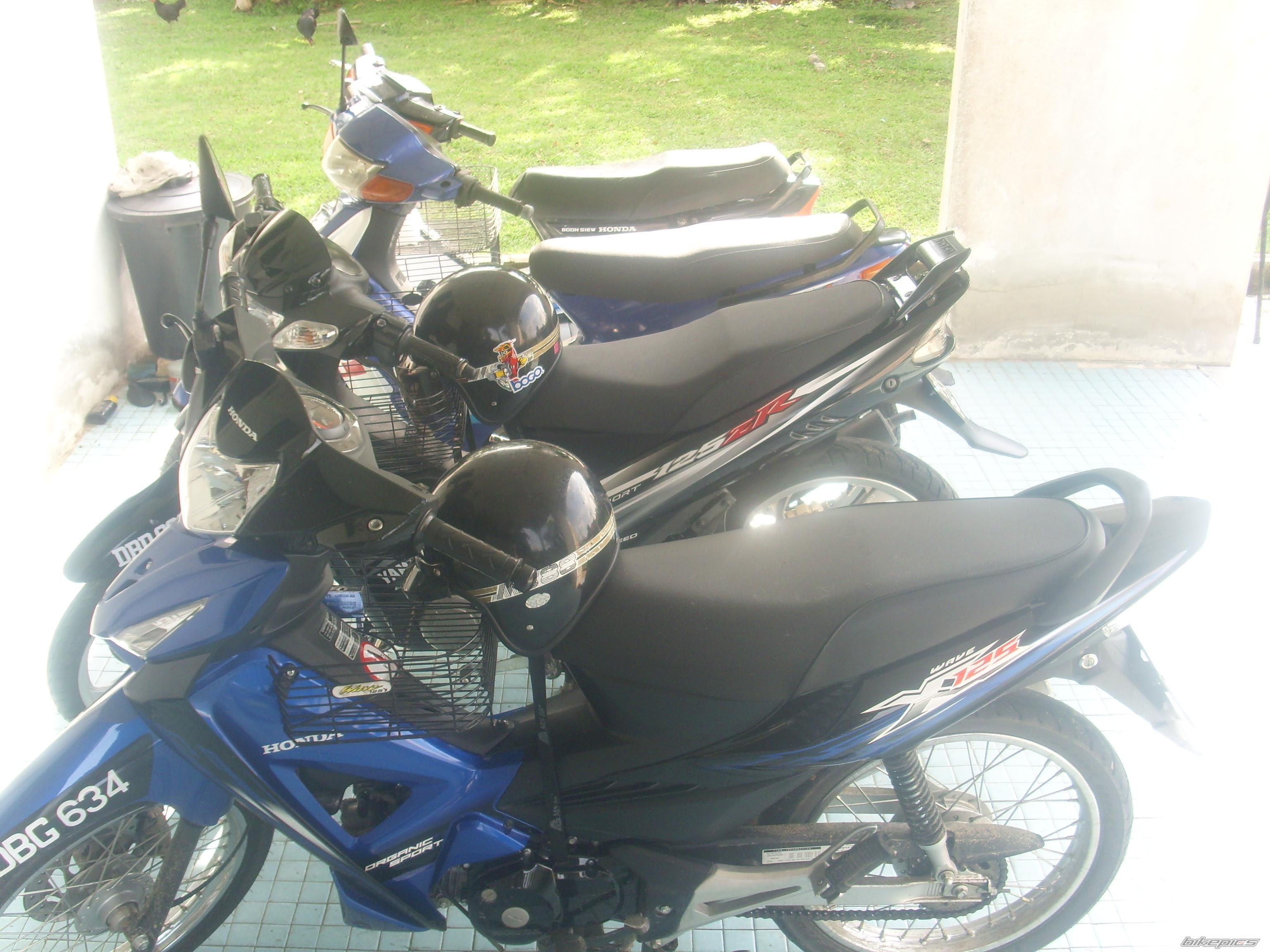 Photo 1481378