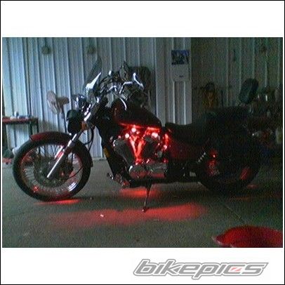 Photo 1481419