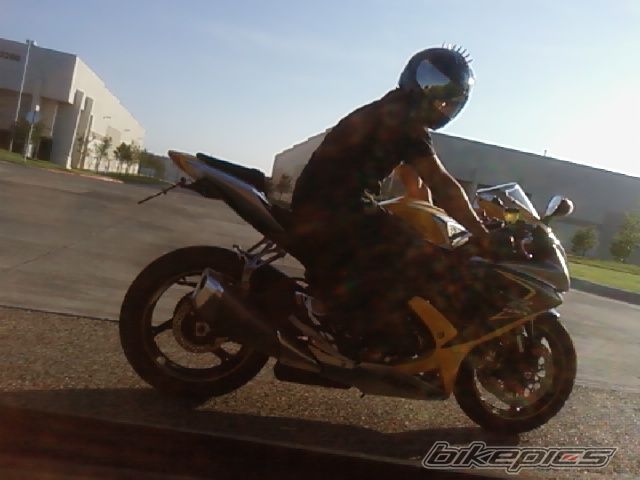 Photo 1481441