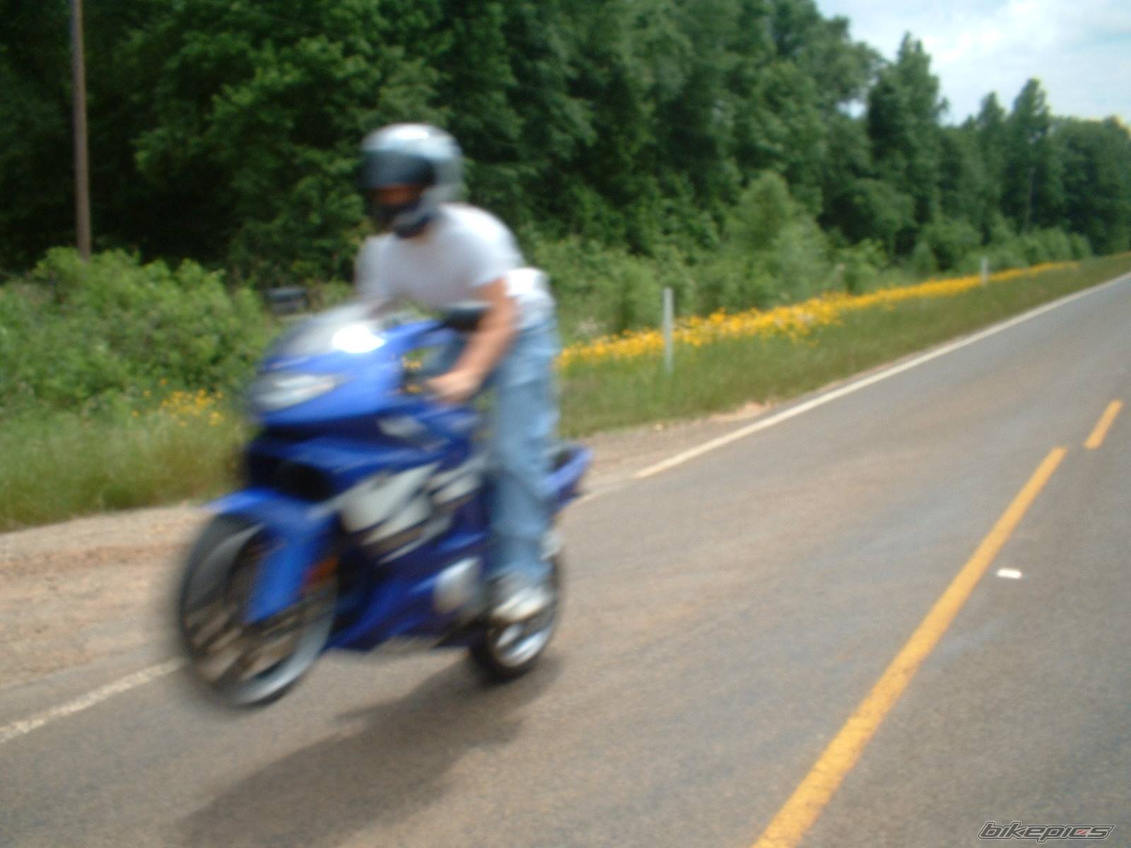 Photo 148145