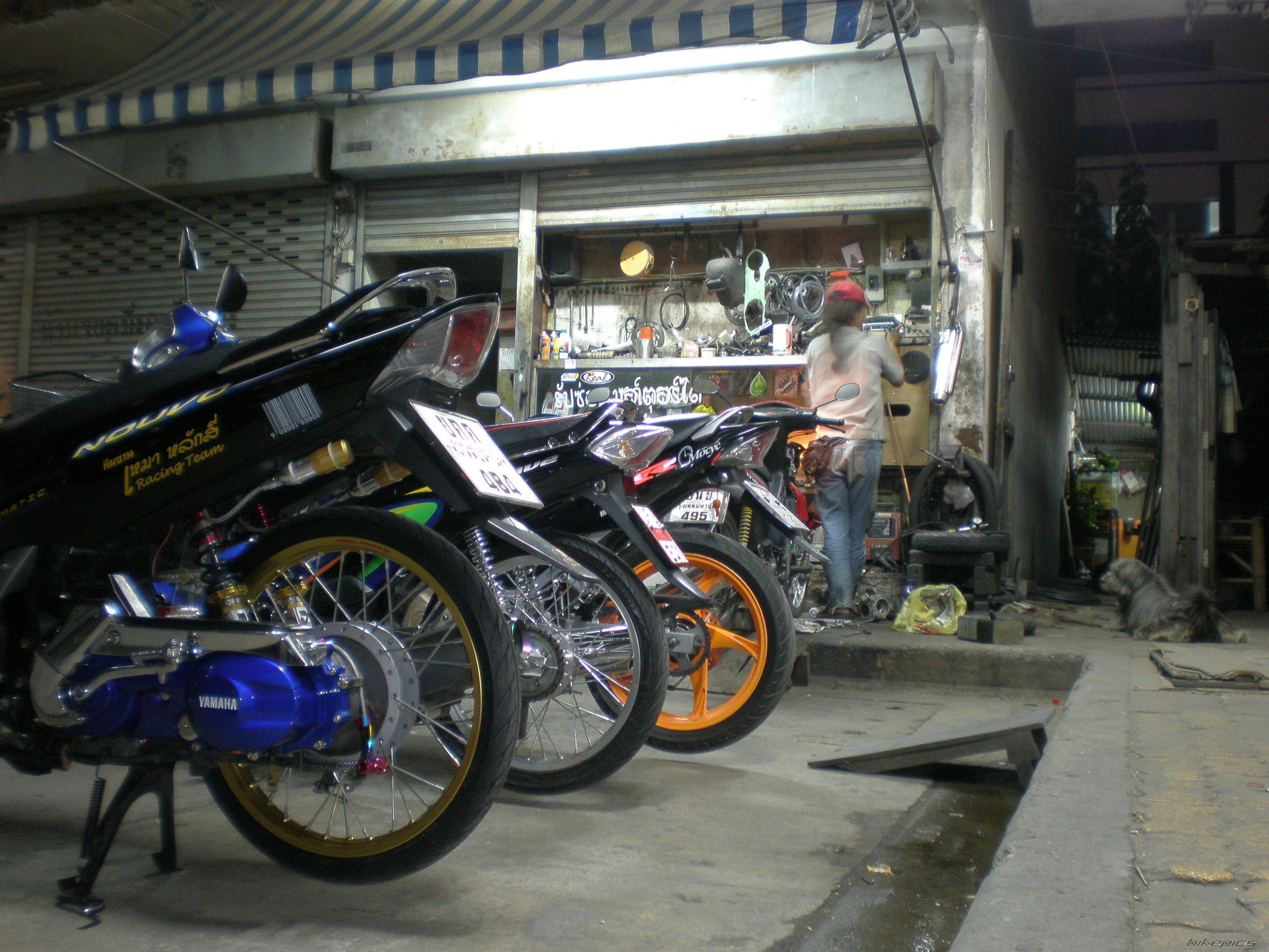 Photo 1481499
