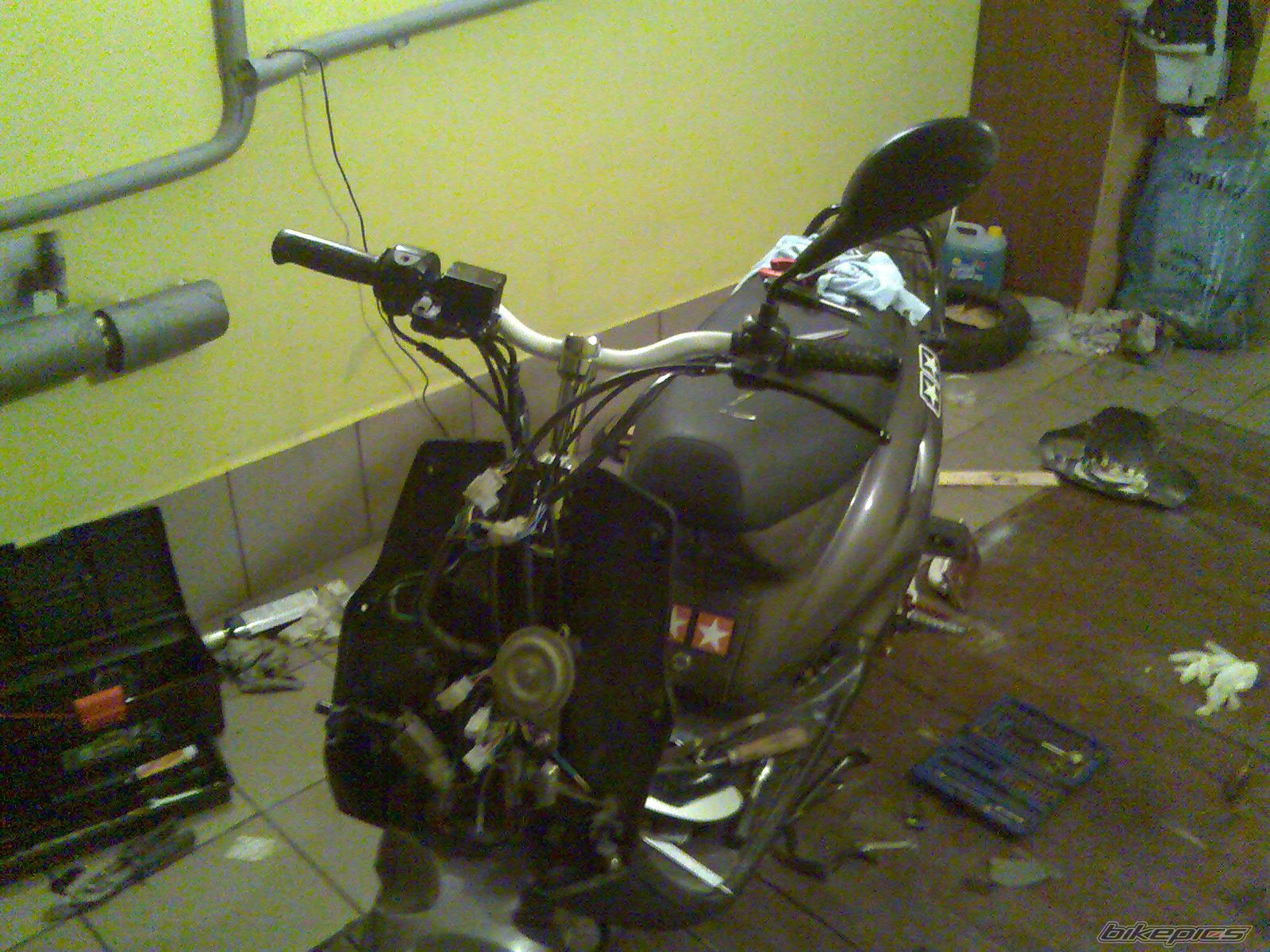 Photo 1481504
