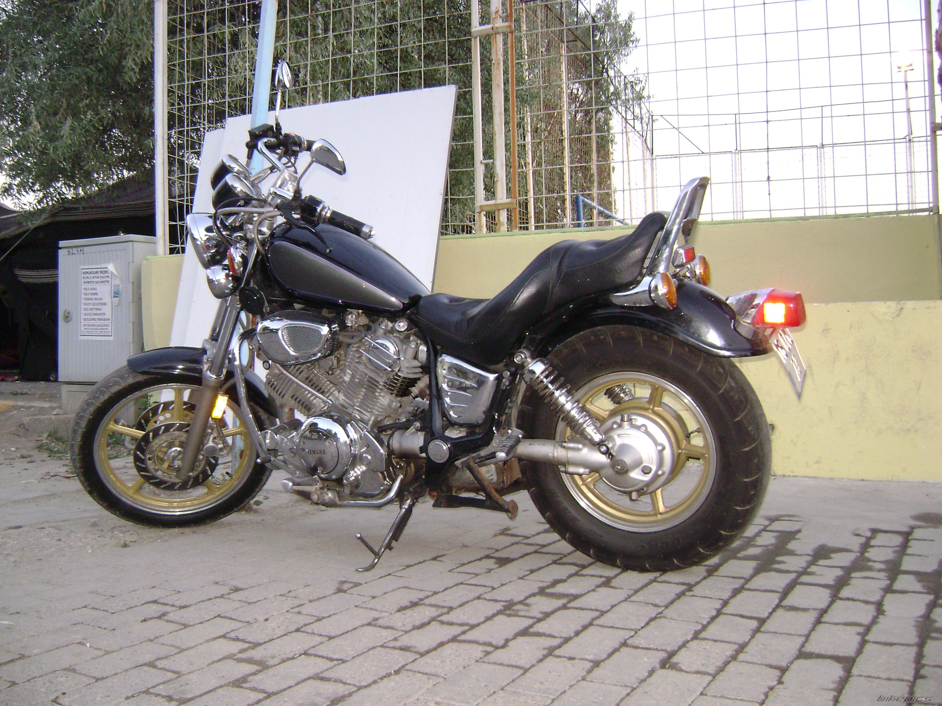 Photo 1481554
